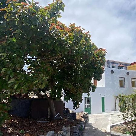 사비노사 La Casa Del Aguacate 빌라 외부 사진