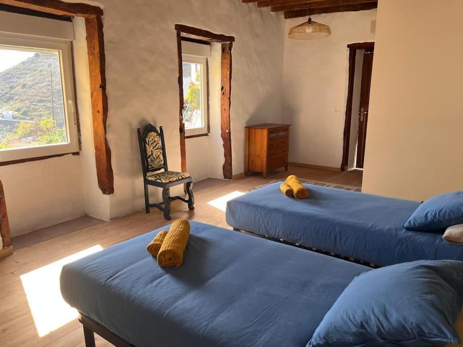 사비노사 La Casa Del Aguacate 빌라 외부 사진